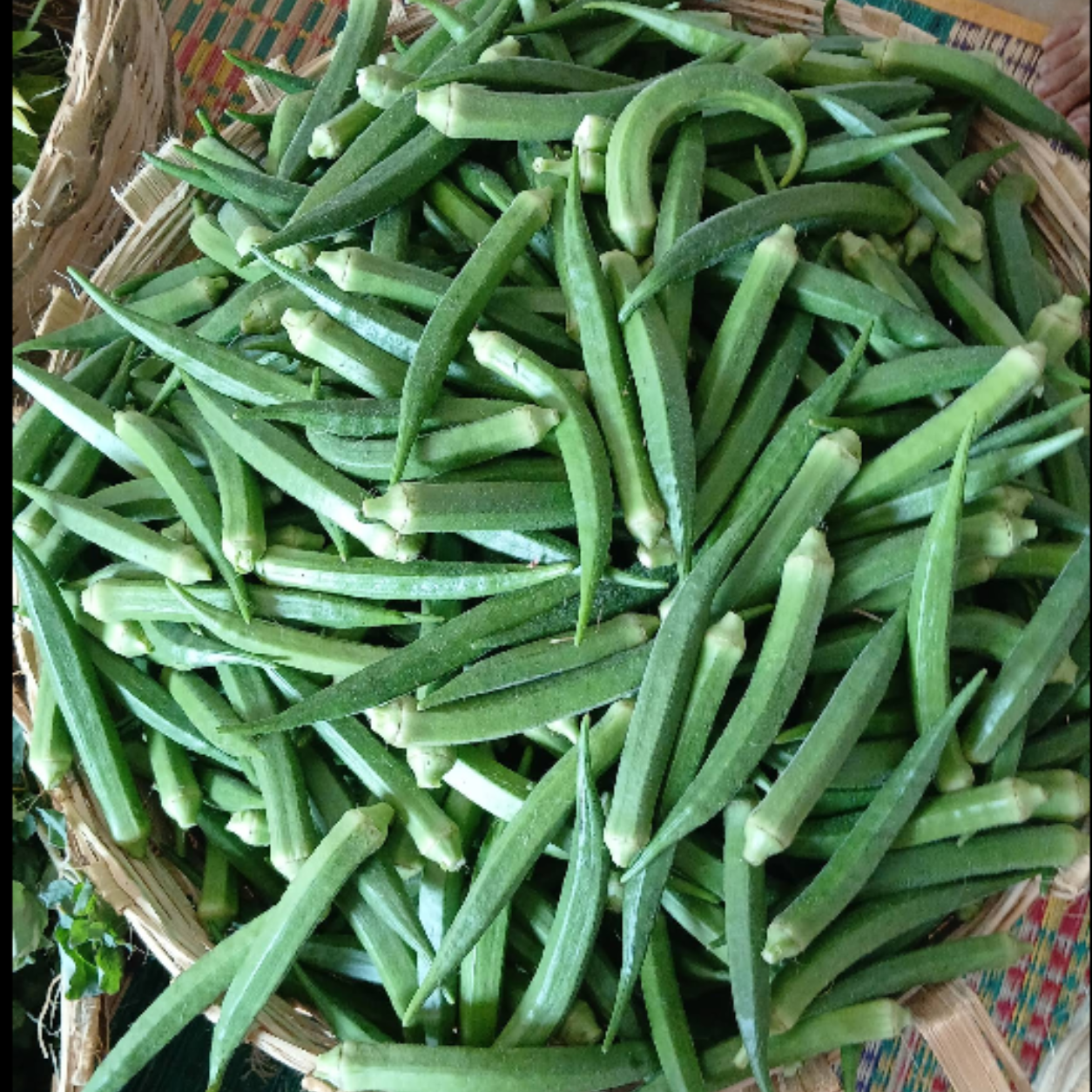 Organic food Vijayawada
